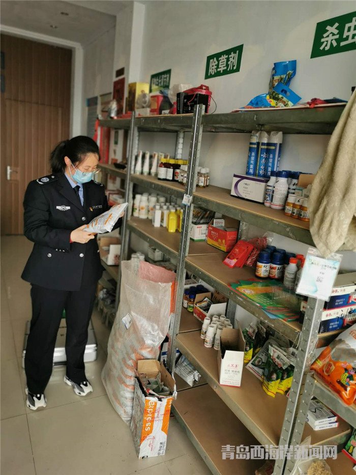圖為西海岸新區(qū)農(nóng)業(yè)綜合行政執(zhí)法大隊(duì)執(zhí)法隊(duì)員在查看玉米種子包裝。.jpg