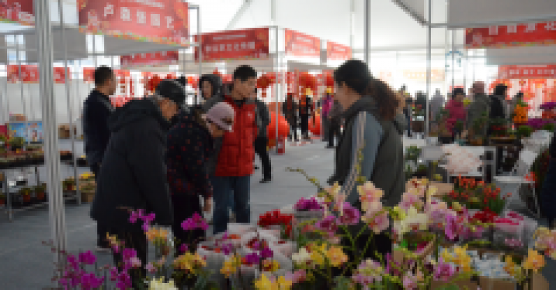 太火爆！金沙灘啤酒城春節(jié)國際商品展銷會延期三天